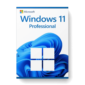Microsoft Windows 11 Professional license for 3 PCs